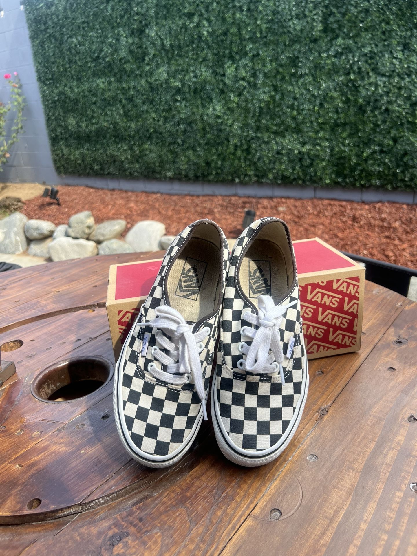 Checkerboard Vans 
