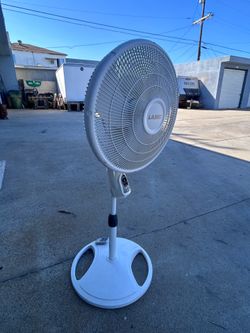 Fan rotating with multiple sheep and remote control