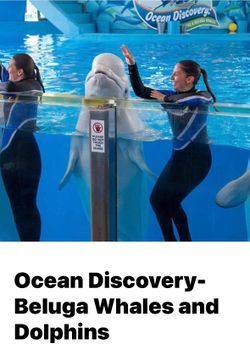 Seaworld and Aquatica tickets $35