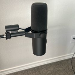 Microphone And Recording Setup