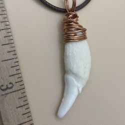 Wolf Tooth Necklace 