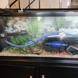  Fish Tanks & Accessories   Pick Up Only!! 
