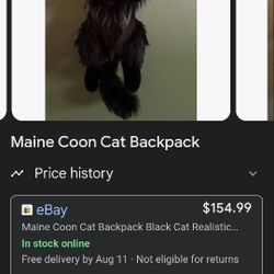 Maine Coon Backpack Chongker