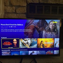 Vizio TV 40”