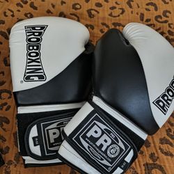 Boxing Gloves 