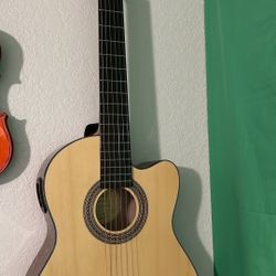 Electric Acustic Guitar 