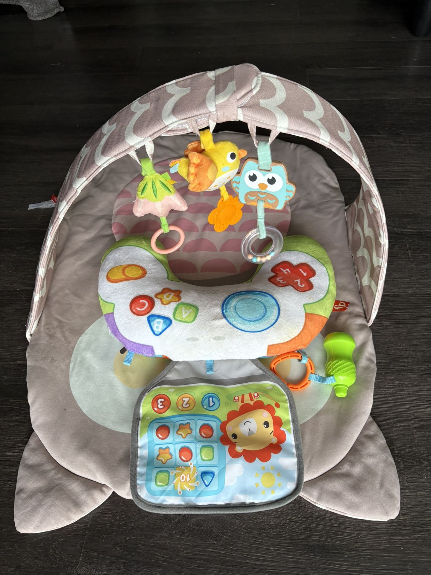 Tummy Time Play Mat