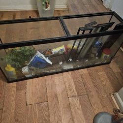 60 Gallon Fish Tanks