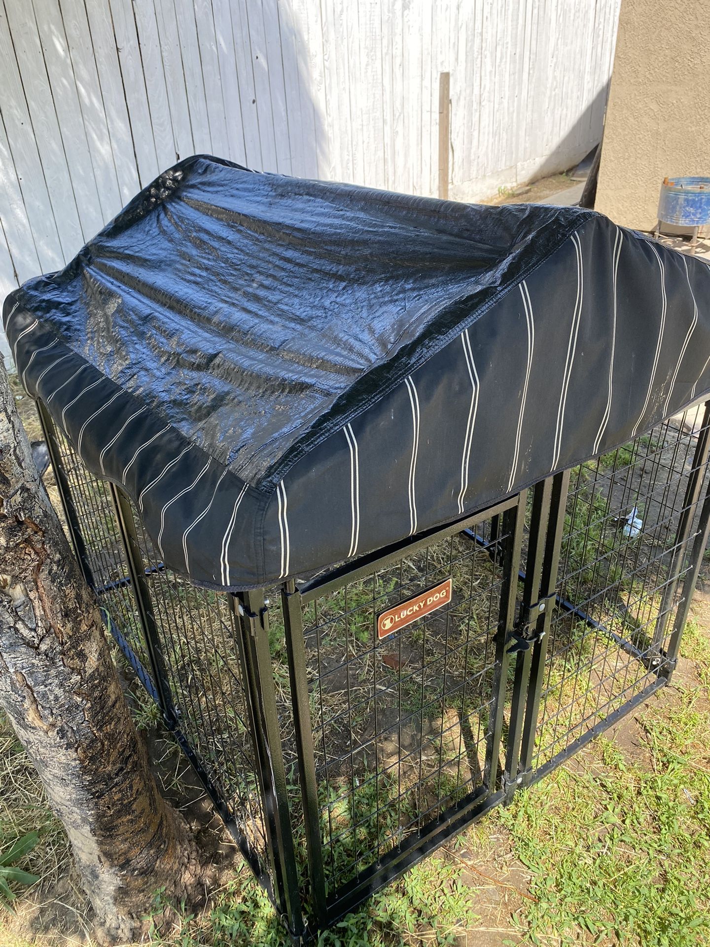 Casa Para Perro