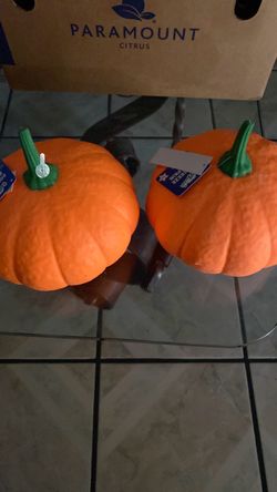 Squishy pumpkins