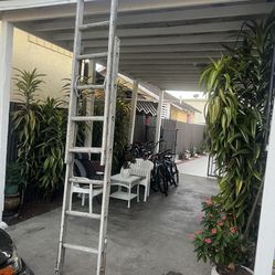 Excellent Condition Variety Of Extension Ladders 