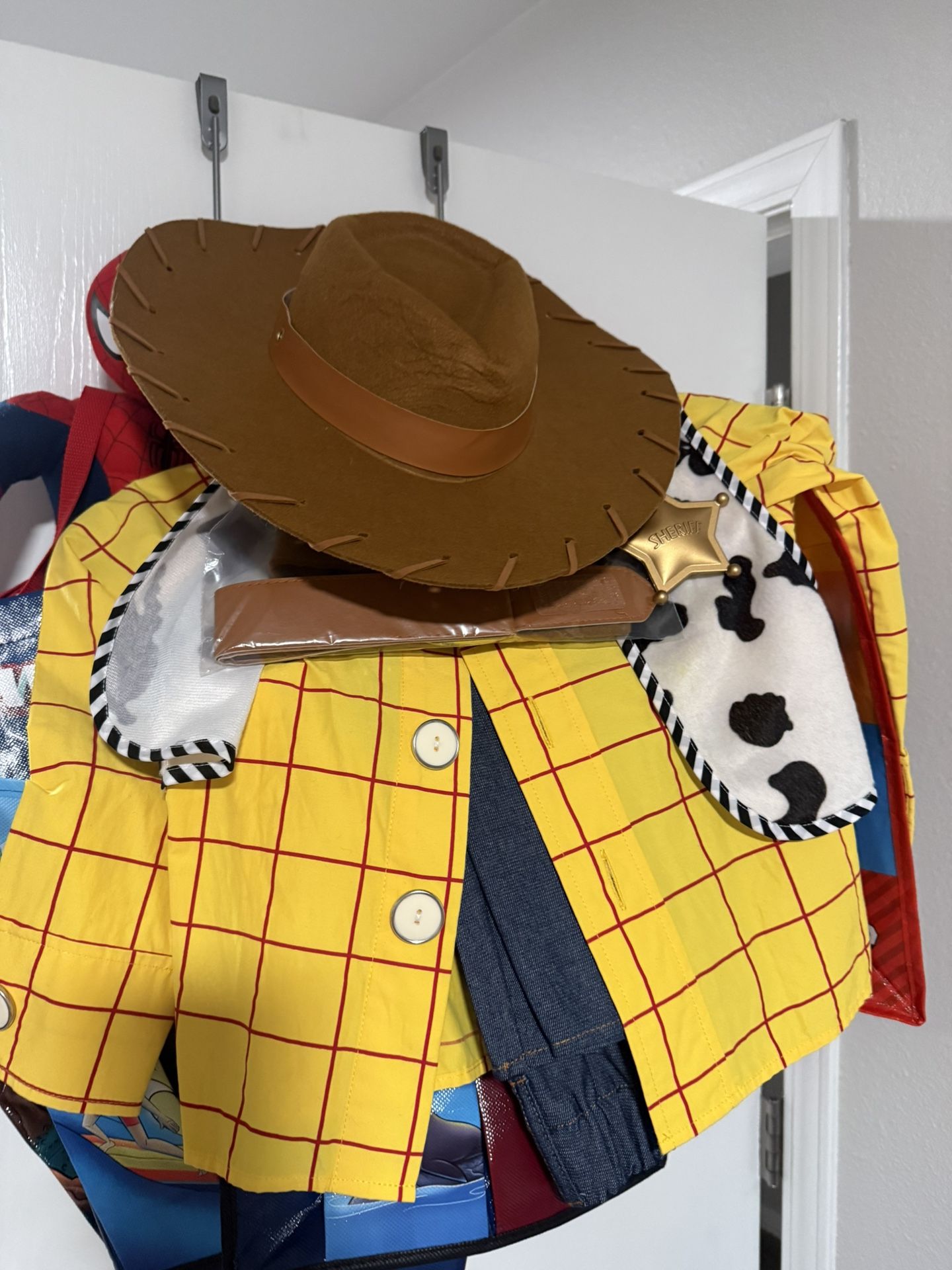 Disney Store Woody Costume & Accessories