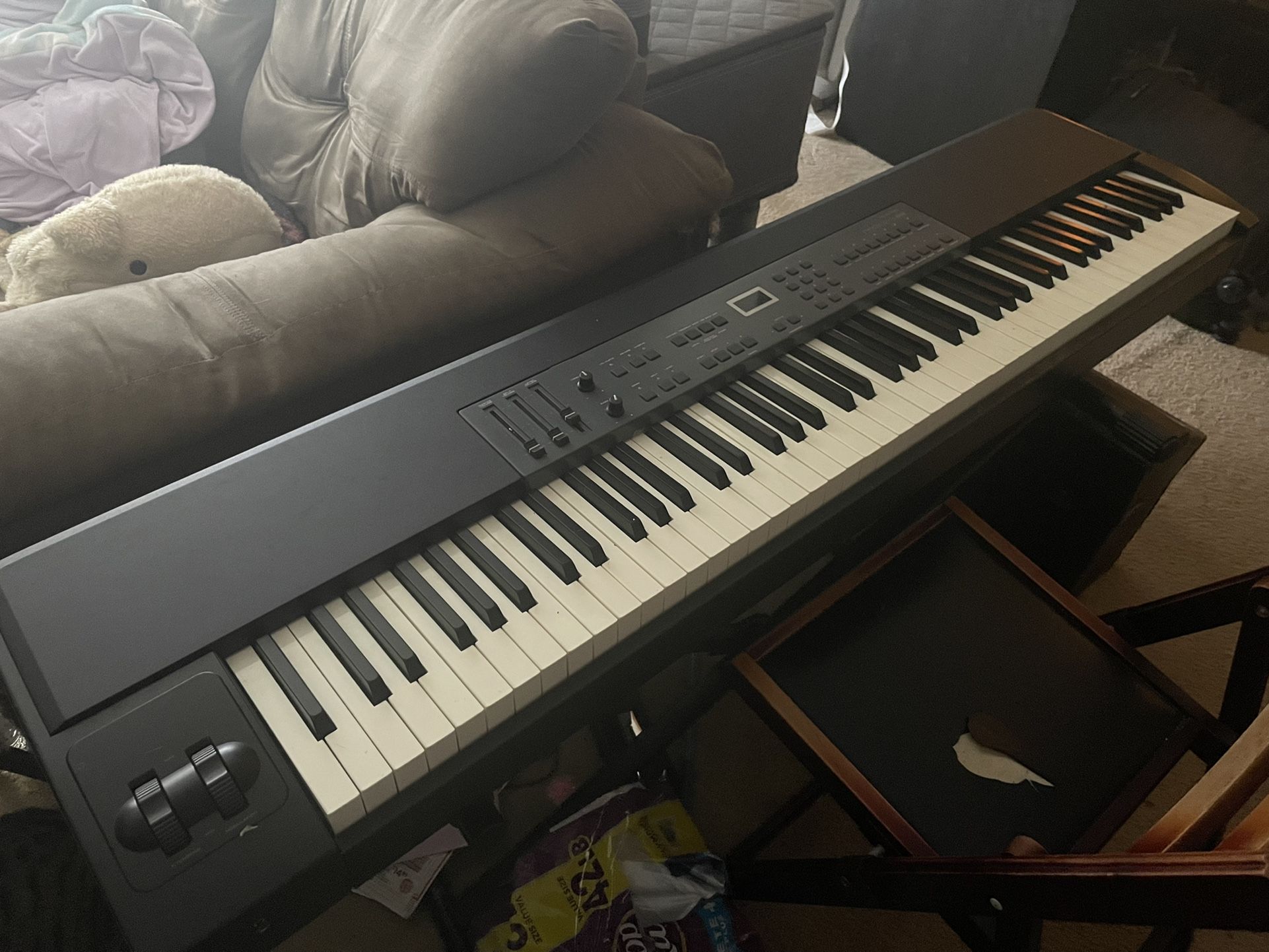 M Audio Pro Keyboard/Digital Piano