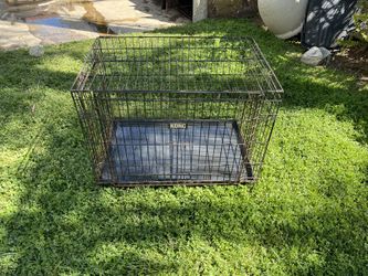 Dog Crate 