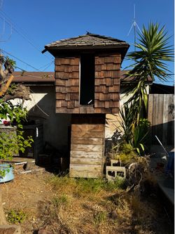 Tree House