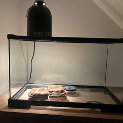 Terrarium Lamp And Food Bowls 