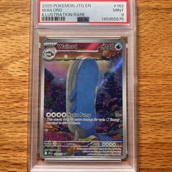 Wailord #162 PSA 9 – IR – 2025 Pokemon JTG – Public Meetup