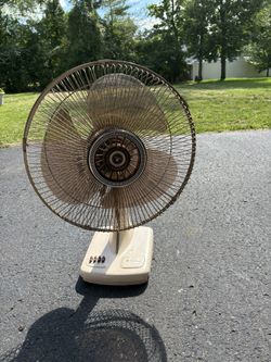 Fans 