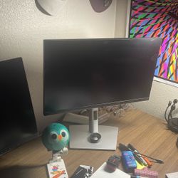 Dell Computer Monitor 