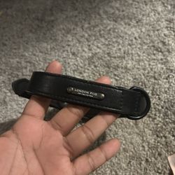 Dog Collars & Harness