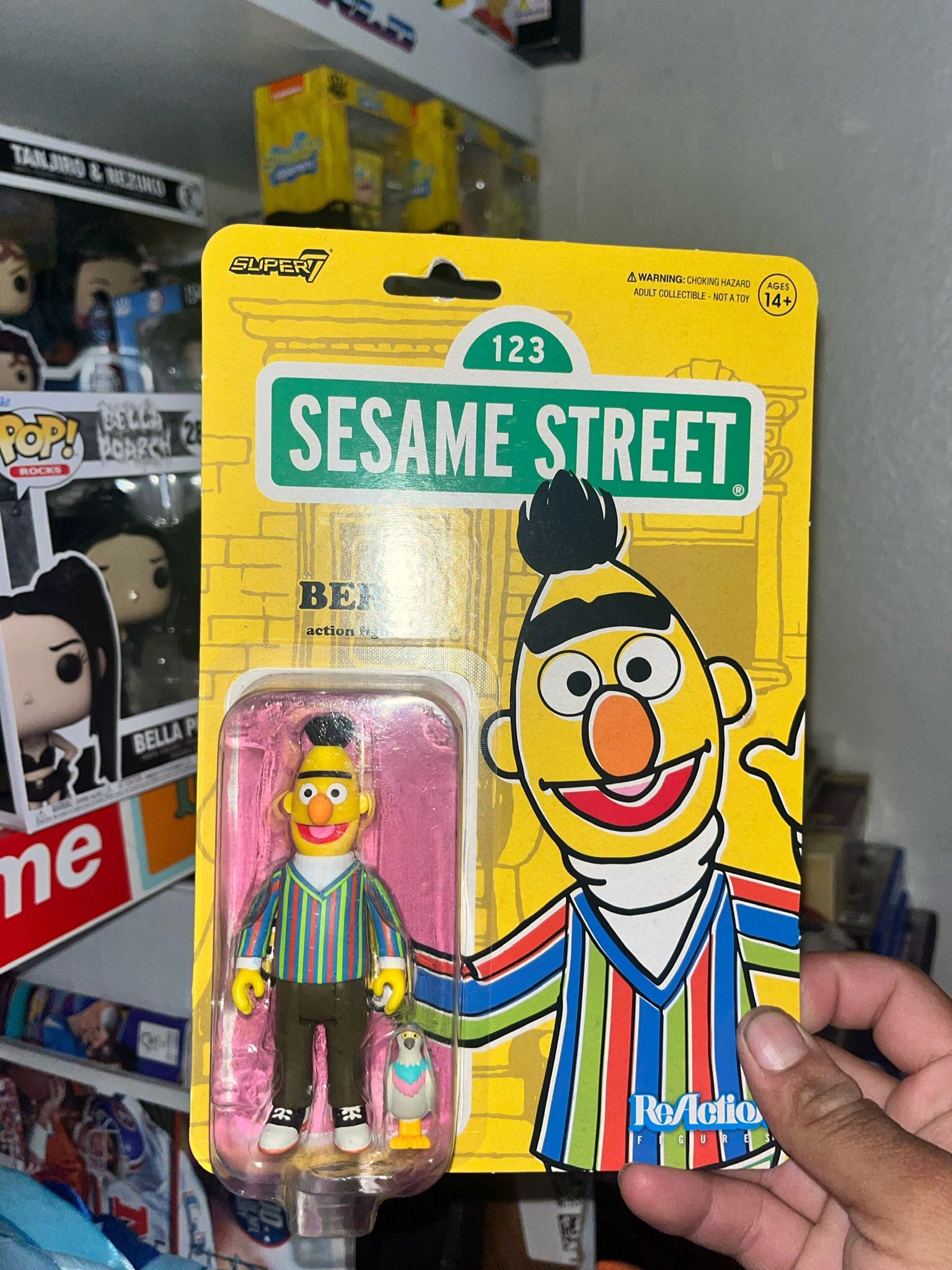 Sesame Street Bert Collectible 