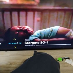 55in Insignia Flat Screen