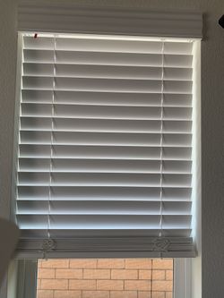 Window Blinds