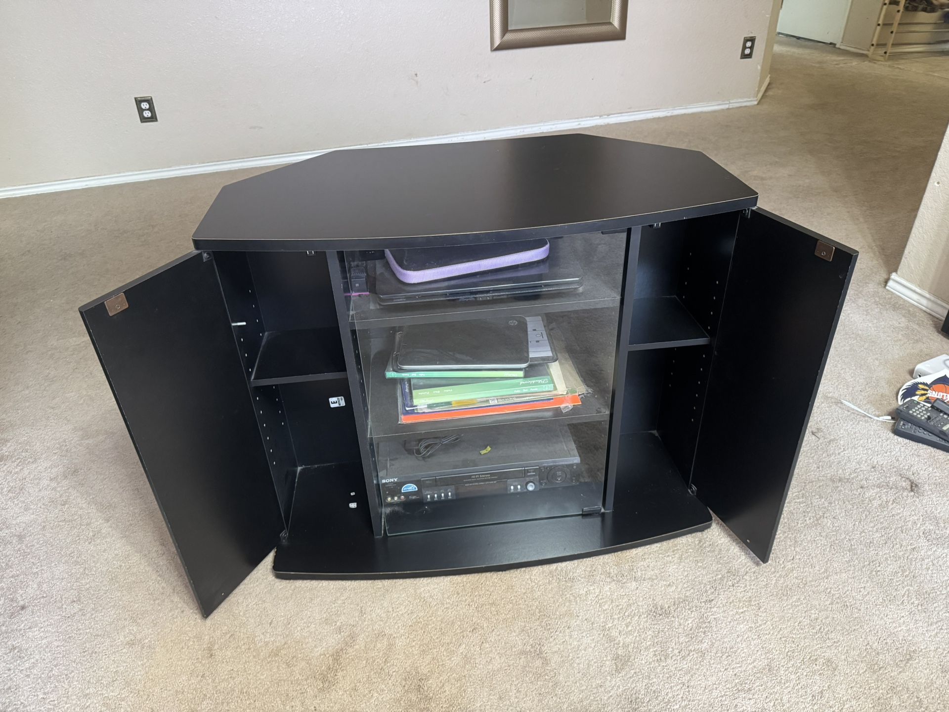 Entertainment System/Media Storage
