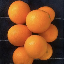 Organic Oranges🍊/ Naranjas Organicas