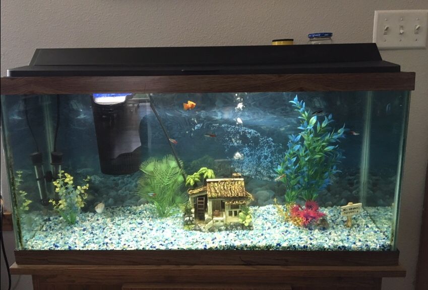 30 gal Aquarium and Stand $125 OBO