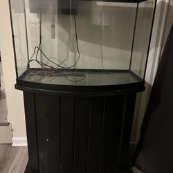 Large Fish Tank