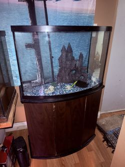Fish 30 Gal Aquarium With Rocks And Castle And Stand Cabinet