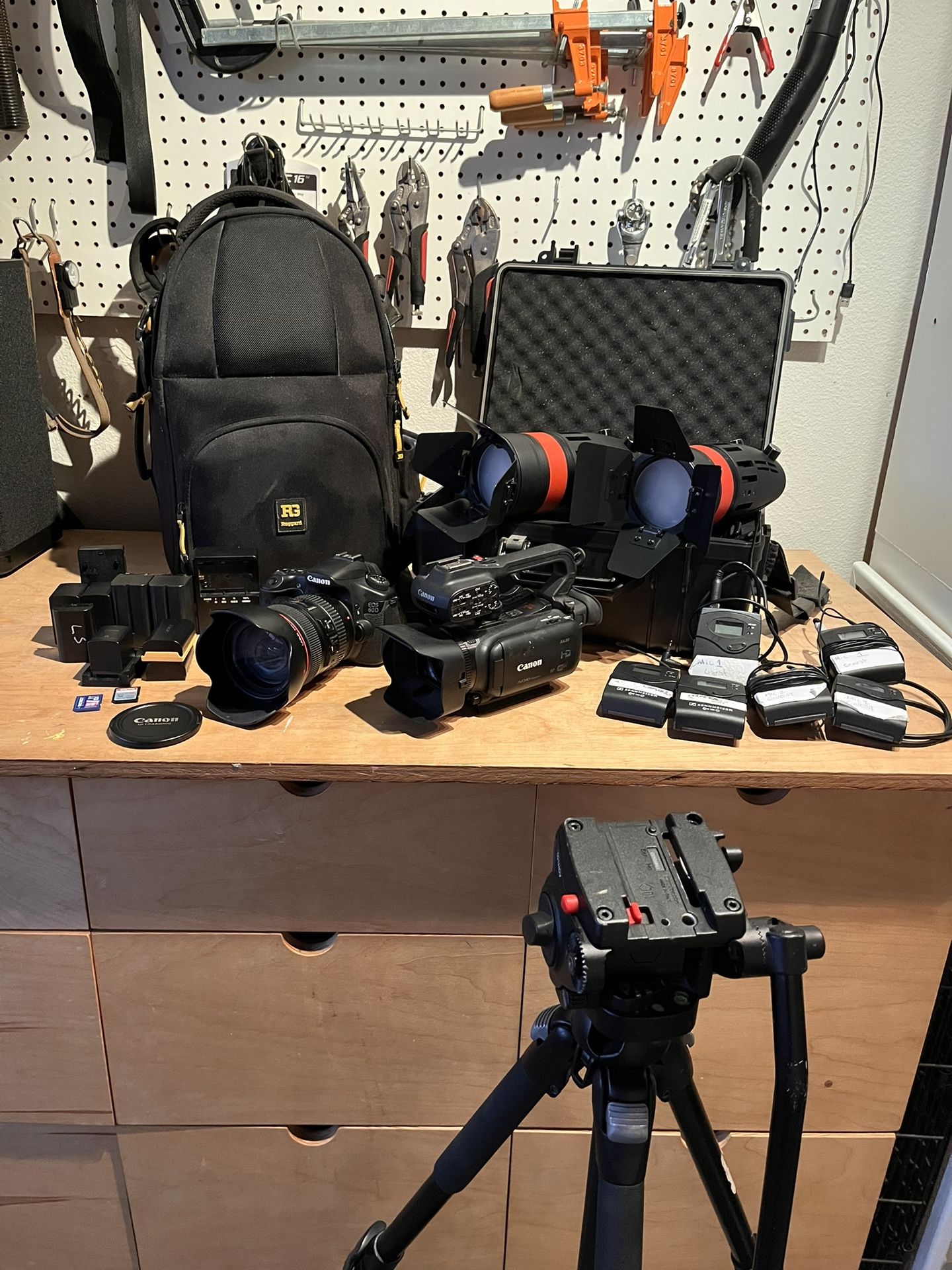 Canon EOS 6D with lens, Cannon XA20 camcorder, Came-TV lights, tripod, lapel mics