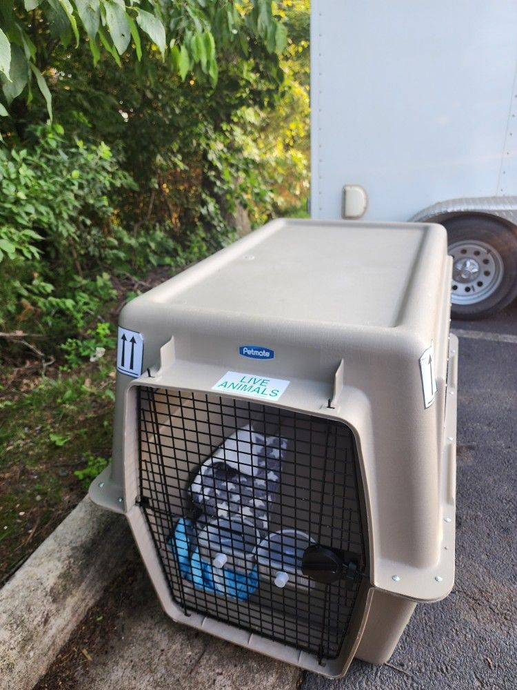 Dog Case