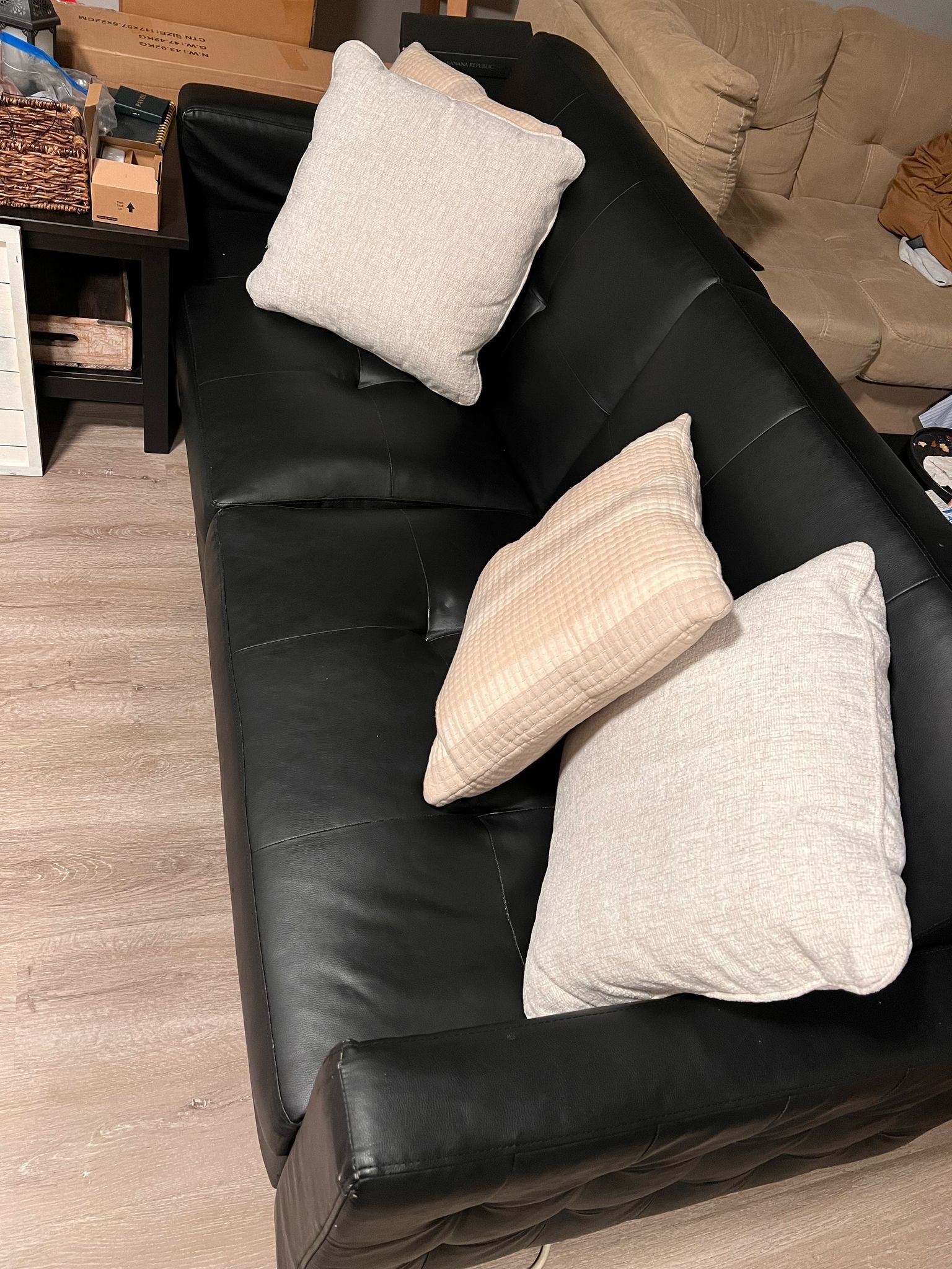 Futon Couch