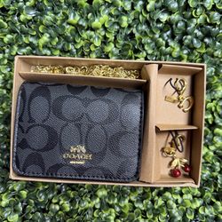 Small coach crossbody bag