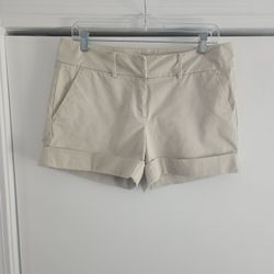 Women's New York & Company Khaki 6 Shorts