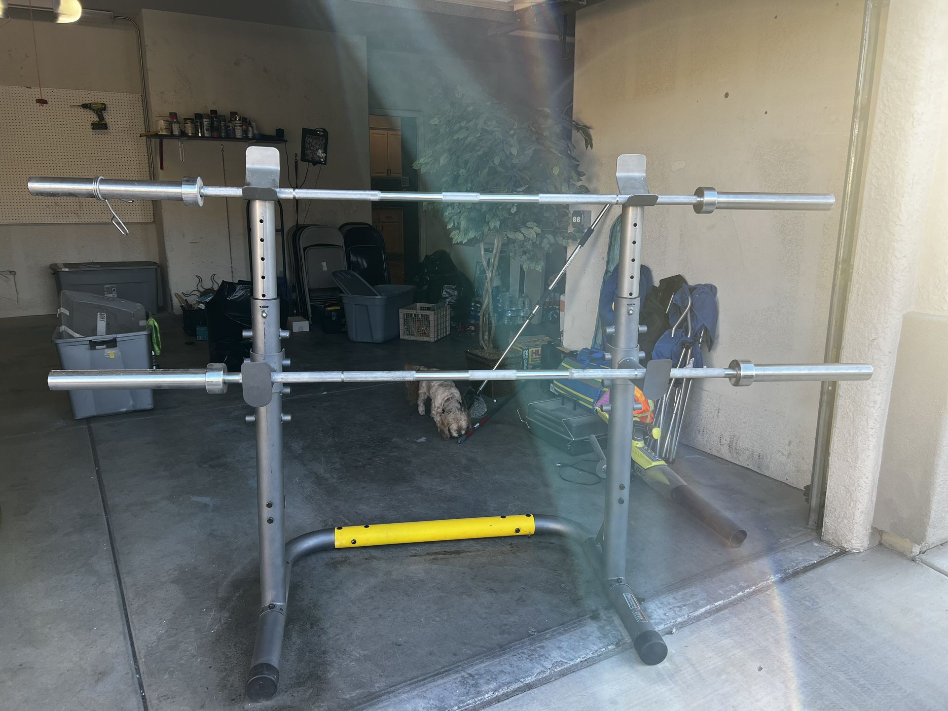 Gold's Adjustable Olympic Workout Bench with Squat Rack, Leg Extension, Preacher Curl, and Weight Storage