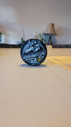 2006-07 Inglasco Stockton Thunder ECHL Official Game Hockey Puck
