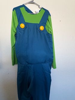 Luigi Halloween Costume Green and Blue