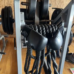 Leg Press