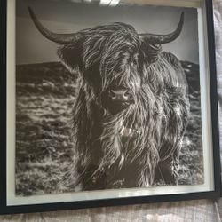 Black And White Picture 