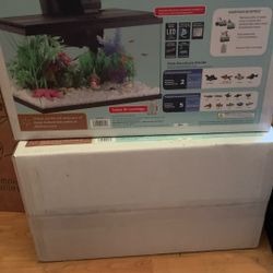 New Fish Tank