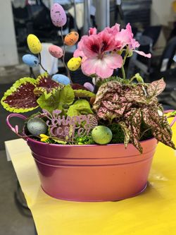 Easter Gift baskets / Live plants