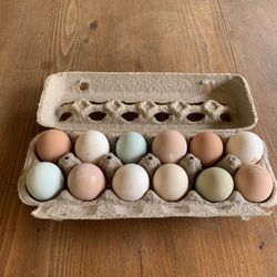 Hatching Eggs 