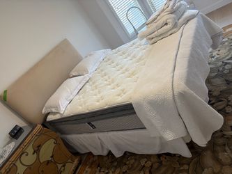 Queen bed like new !!