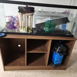 50 Gallon Fish Tank
