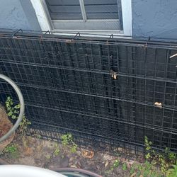 2 Xl Dog Crate With Plastic Liner, Great Shape, Comes With 2 Doors For 2 Entrances, Front Amd Side Entrance,  Folds Up Easily For Storage 