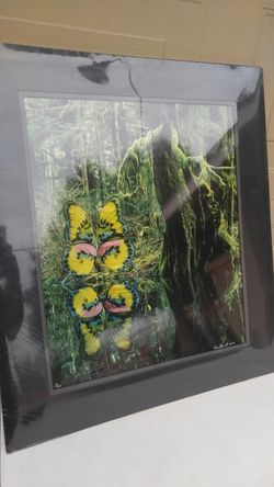 Gene Brownell Vintage Photography Album Cover Artist Winner