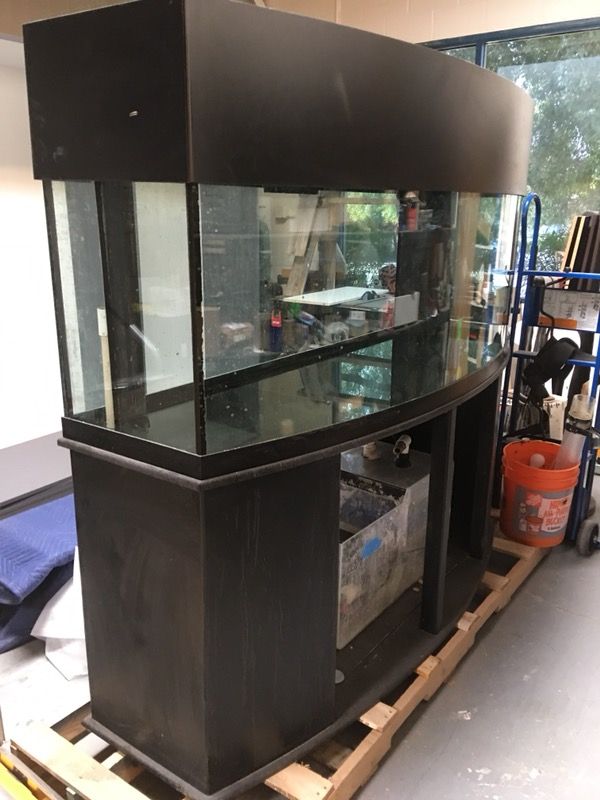 165 gallon bow front fish tank.